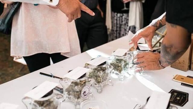 CannabisTour