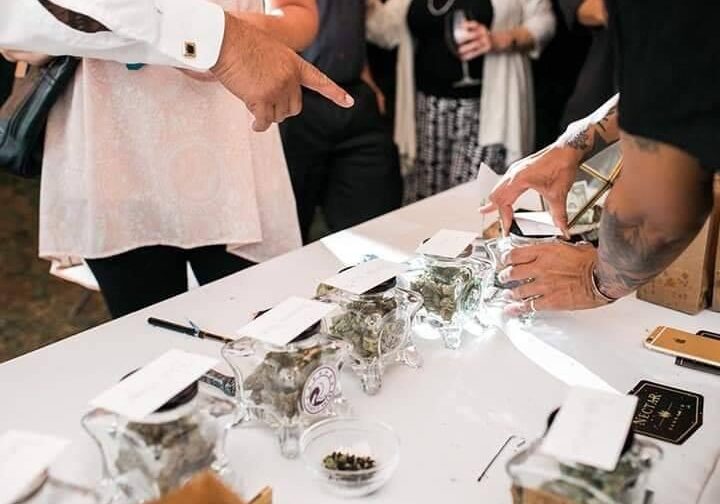 CannabisTour